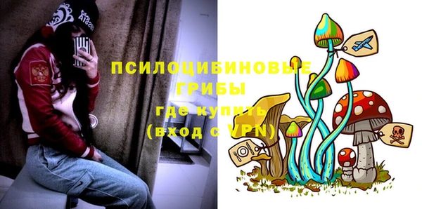 a pvp Вязьма