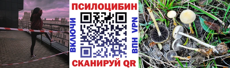Купить  Новотроицк  Галлюциногенные грибы мухоморы 