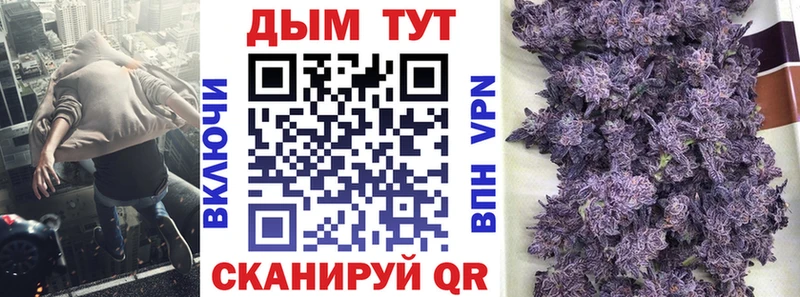 Шишки марихуана план  Купить закладки  Новотроицк 